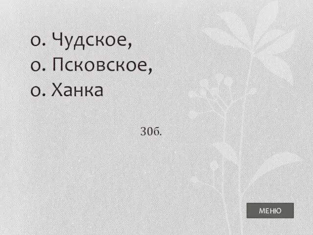 МЕНЮ о. Чудское, о. Псковское, о. Ханка 30б.