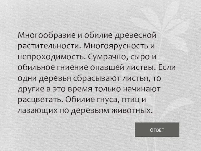 Многообразие и обилие древесной растительности. Многоярусность и непроходимость. Сумрачно, сыро и обильное