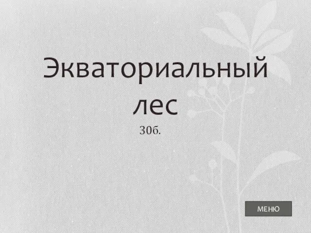 Экваториальный лес МЕНЮ 30б.