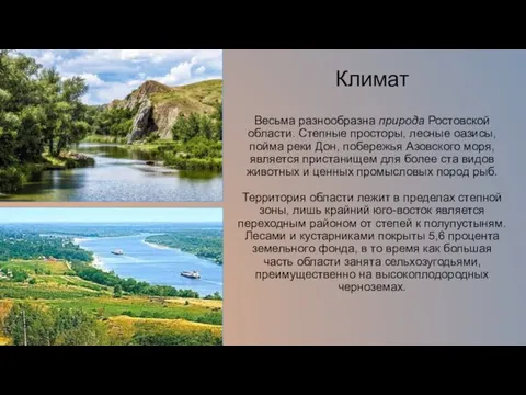Климат Весьма разнообразна природа Ростовской области. Степные просторы, лесные оазисы, пойма реки