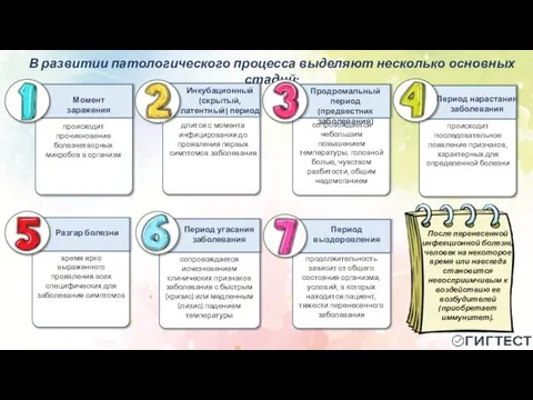 В развитии патологического процесса выделяют несколько основных стадий: Инкубационный (скрытый, латентный) период