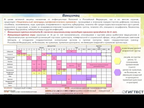 Вакцинация всем лицам данной возрастной группы лицам, из группы риска, по показаниям,