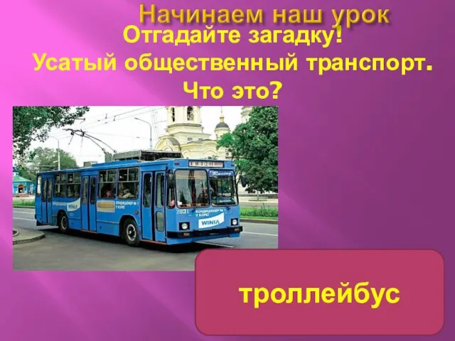 Отгадайте загадку! Усатый общественный транспорт. Что это? троллейбус