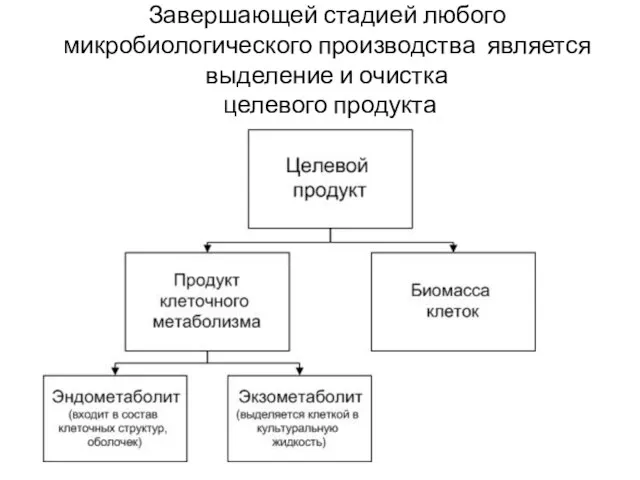 Завершающей стадией любого микробиологического производства является выделение и очистка целевого продукта