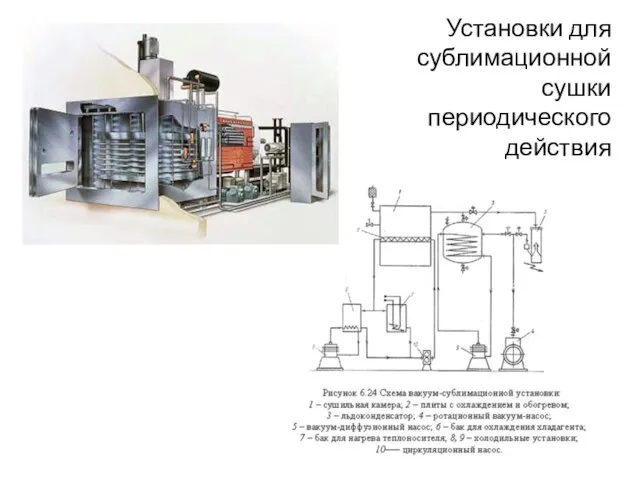 Установки для сублимационной сушки периодического действия