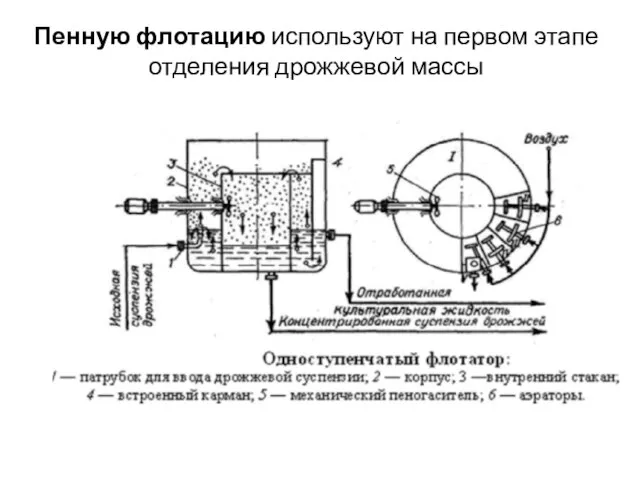 Пенную флотацию используют на первом этапе отделения дрожжевой массы