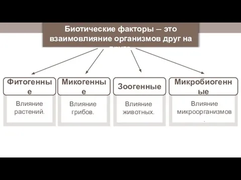 Фитогенные Влияние растений. Биотические факторы — это взаимовлияние организмов друг на друга.