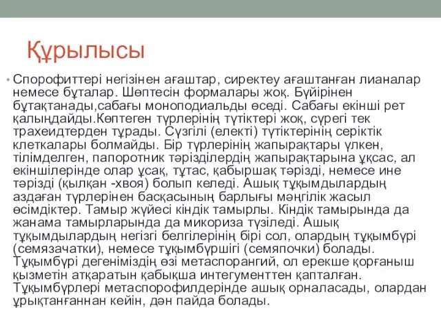 Құрылысы Спорофиттері негізінен ағаштар, сиректеу ағаштанған лианалар немесе бұталар. Шөптесін формалары жоқ.