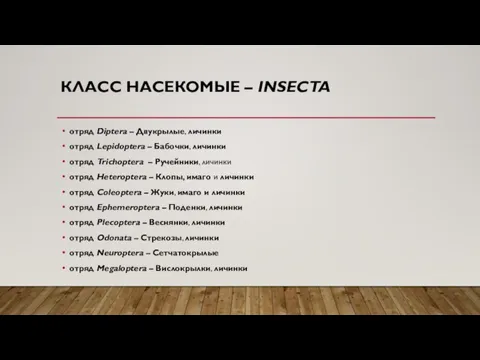 КЛАСС НАСЕКОМЫЕ – INSECTA отряд Diptera – Двукрылые, личинки отряд Lepidoptera –