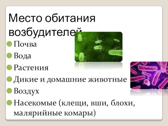 Место обитания возбудителей Почва Вода Растения Дикие и домашние животные Воздух Насекомые