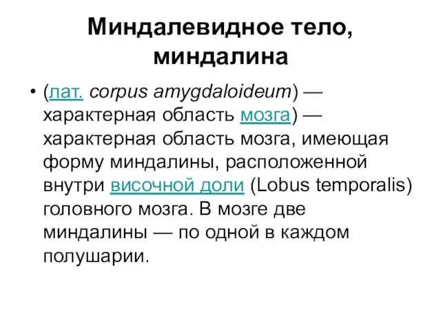 Миндалевидное тело, миндалина (лат. corpus amygdaloideum) — характерная область мозга) — характерная