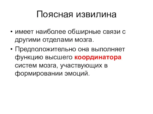 Поясная извилина имеет наиболее обширные связи с другими отделами мозга. Предположительно она