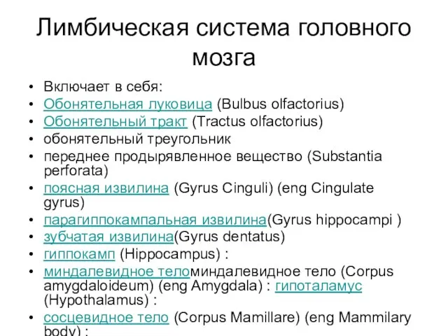 Лимбическая система головного мозга Включает в себя: Обонятельная луковица (Bulbus olfactorius) Обонятельный