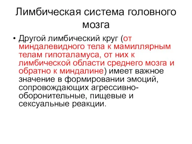 Лимбическая система головного мозга Другой лимбический круг (от миндалевидного тела к мамиллярным