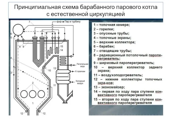 Принципиальная схема барабанного парового котла с естественной циркуляцией