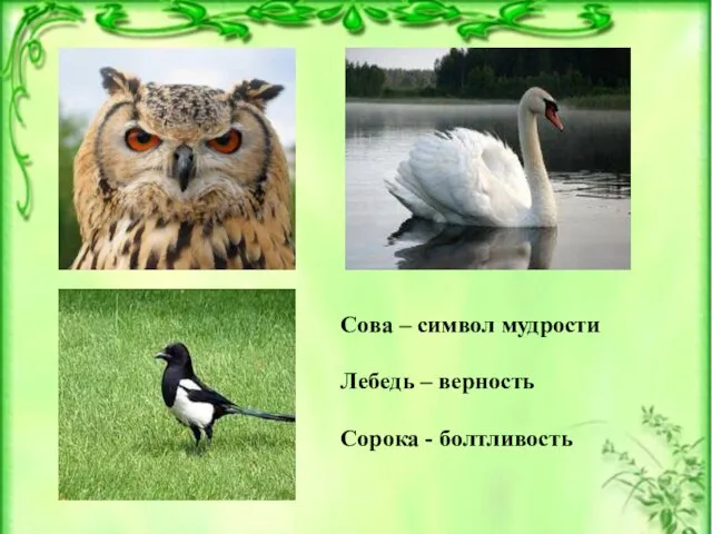 Сова – символ мудрости Лебедь – верность Сорока - болтливость