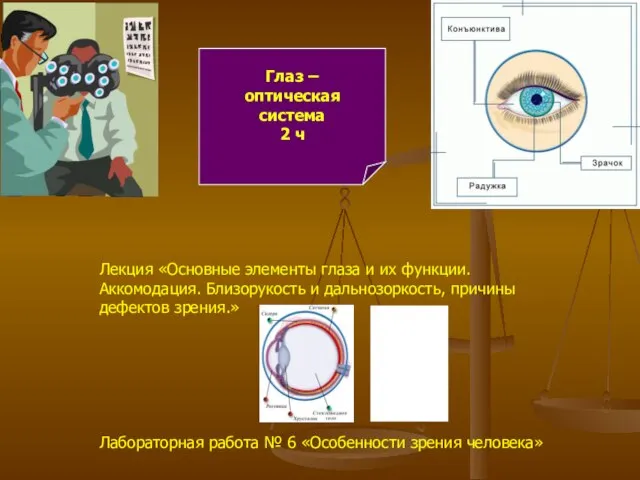Глаз – оптическая система 2 ч Лекция «Основные элементы глаза и их