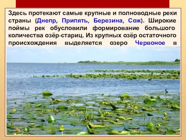 Здесь протекают самые крупные и полноводные реки страны (Днепр, Припять, Березина, Сож).