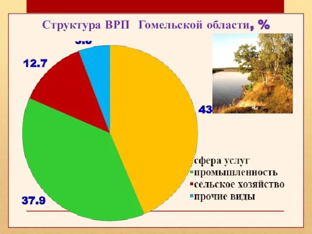 Структура ВРП Гомельской области, %