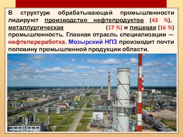 В структуре обрабатывающей промышленности лидируют производство нефтепродуктов (43 %), металлургическая (17 %)