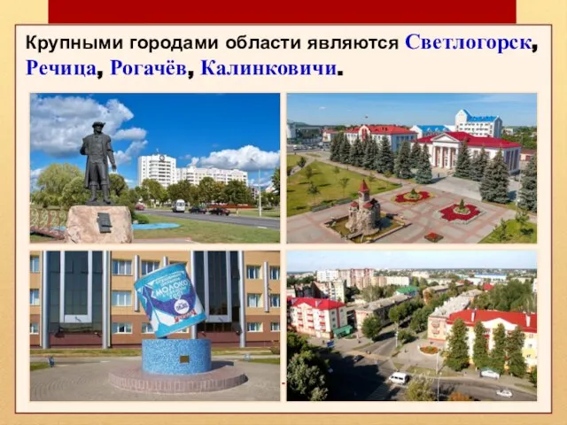 Крупными городами области являются Светлогорск, Речица, Рогачёв, Калинковичи.