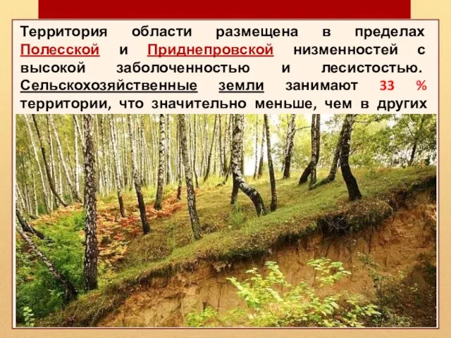 Территория области размещена в пределах Полесской и Приднепровской низменностей с высокой заболоченностью