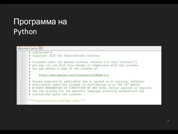 Программа на Python 21