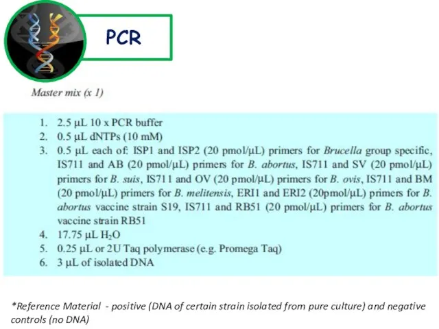 PCR *Reference Material - positive (DNA of certain strain isolated from pure