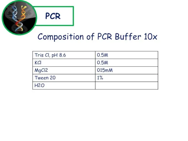 PCR Composition of PCR Buffer 10x