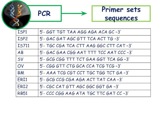 PCR Primer sets sequences