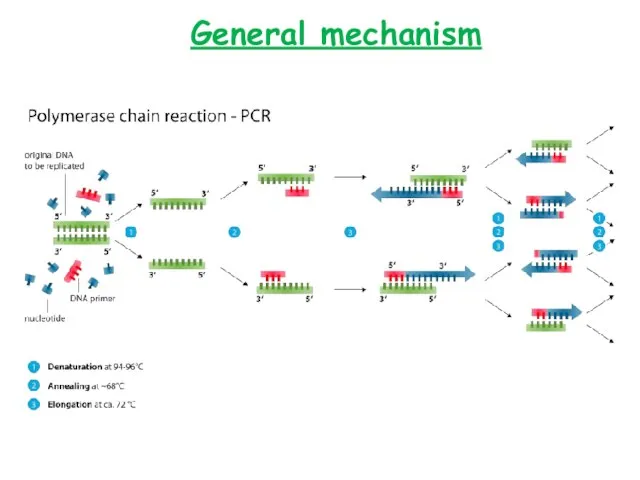General mechanism