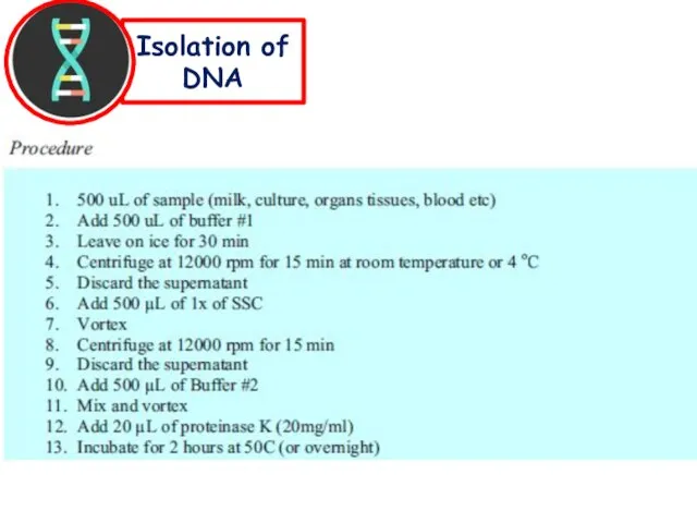 Isolation of DNA