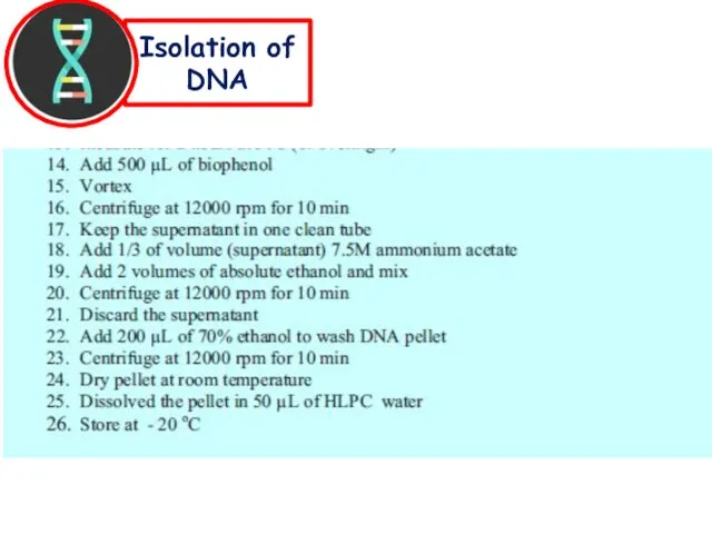 Isolation of DNA