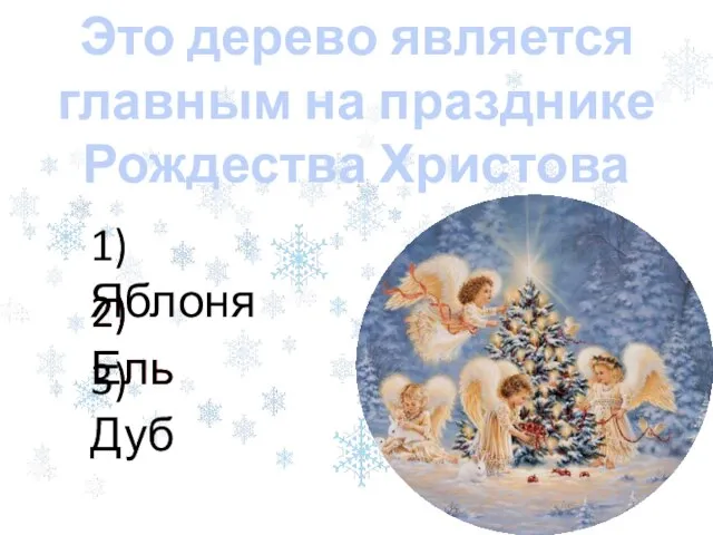 2) Ель Это дерево является главным на празднике Рождества Христова 1) Яблоня 3) Дуб 2) Ель