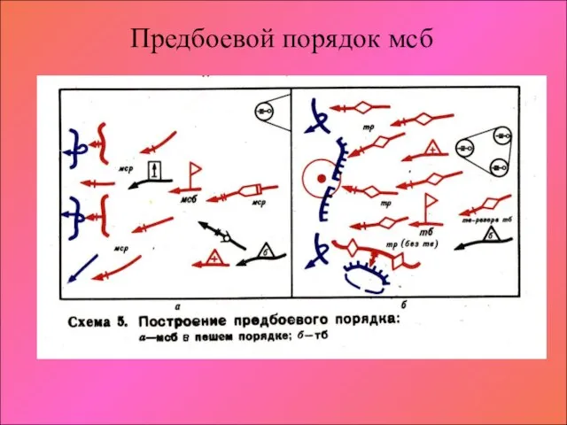 Предбоевой порядок мсб