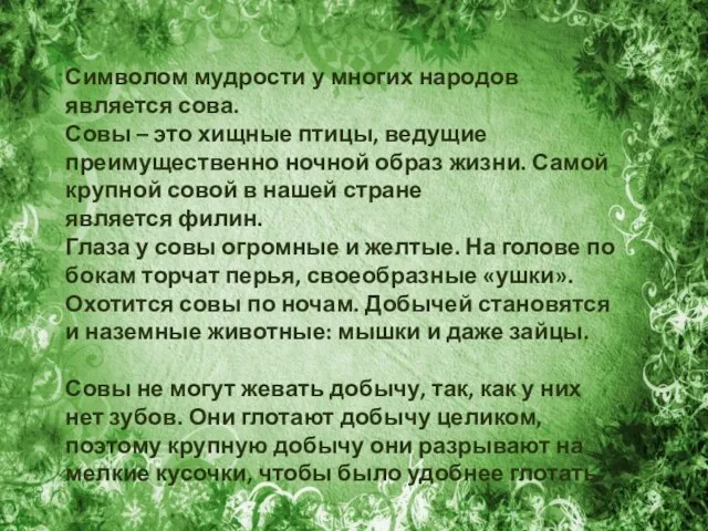 Символом мудрости у многих народов является сова. Совы – это хищные птицы,