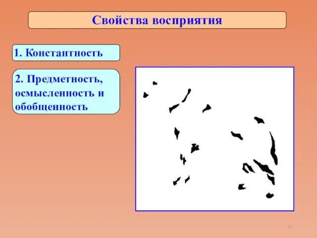 Свойства восприятия 1. Константность 2. Предметность, осмысленность и обобщенность