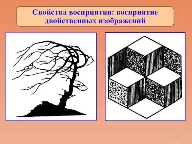 Свойства восприятия: восприятие двойственных изображений
