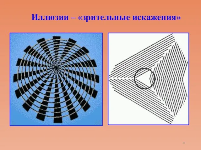 Иллюзии – «зрительные искажения»