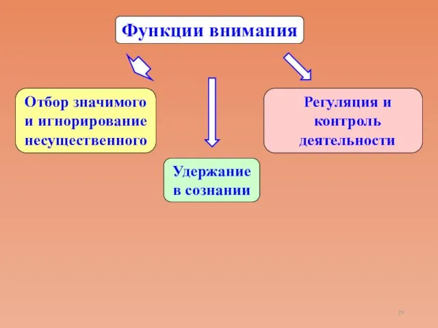 Функции внимания Отбор значимого и игнорирование несущественного Регуляция и контроль деятельности Удержание в сознании