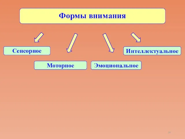 Формы внимания Интеллектуальное Сенсорное Моторное Эмоциональное