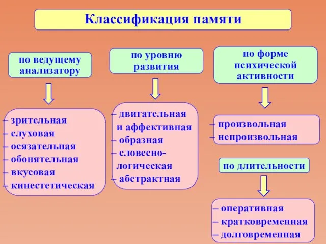 Классификация памяти по ведущему анализатору по уровню развития по форме психической активности