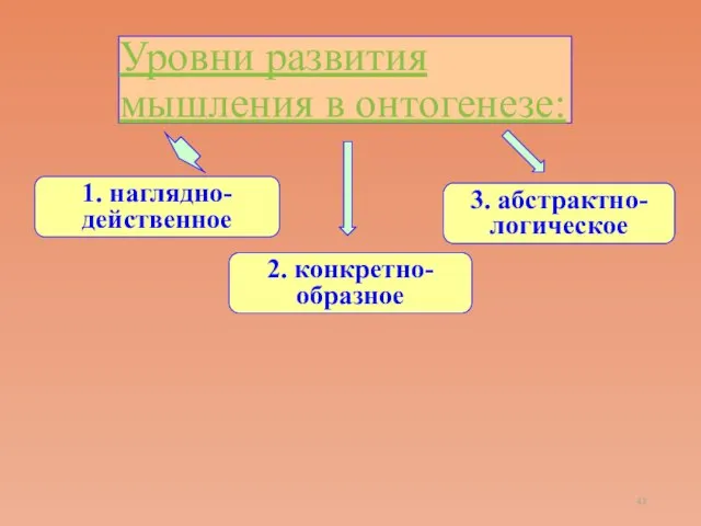 Уровни развития мышления в онтогенезе: 1. наглядно-действенное 3. абстрактно-логическое 2. конкретно-образное