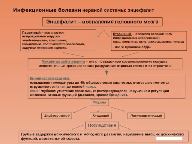 Company Logo Инфекционные болезни нервной системы: энцефалит Энцефалит – воспаление головного мозга