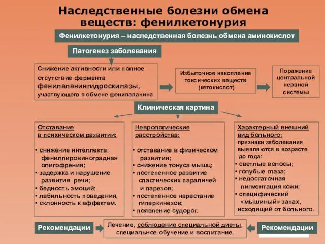 Company Logo Наследственные болезни обмена веществ: фенилкетонурия Фенилкетонурия – наследственная болезнь обмена