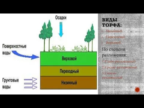 ВИДЫ ТОРФА: Низинный Переходный Верховой По степени разложения: 1.Слабо разложенный 2.Средне разложенный 3.Сильно разложенный