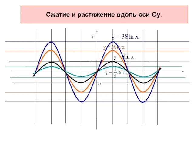 Cжатие и растяжение вдоль оси Оу.