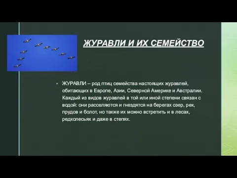 ЖУРАВЛИ И ИХ СЕМЕЙСТВО ЖУРАВЛИ – род птиц семейства настоящих журавлей, обитающих