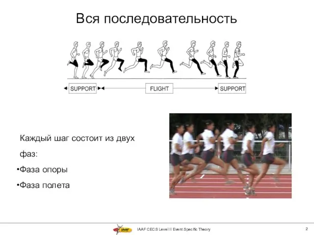 IAAF CECS Level II Event Specific Theory Вся последовательность Каждый шаг состоит