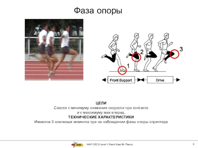 IAAF CECS Level II Event Specific Theory Фаза опоры ЦЕЛИ Свести к